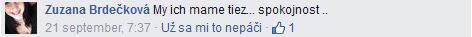 Screenshot recenzie 6